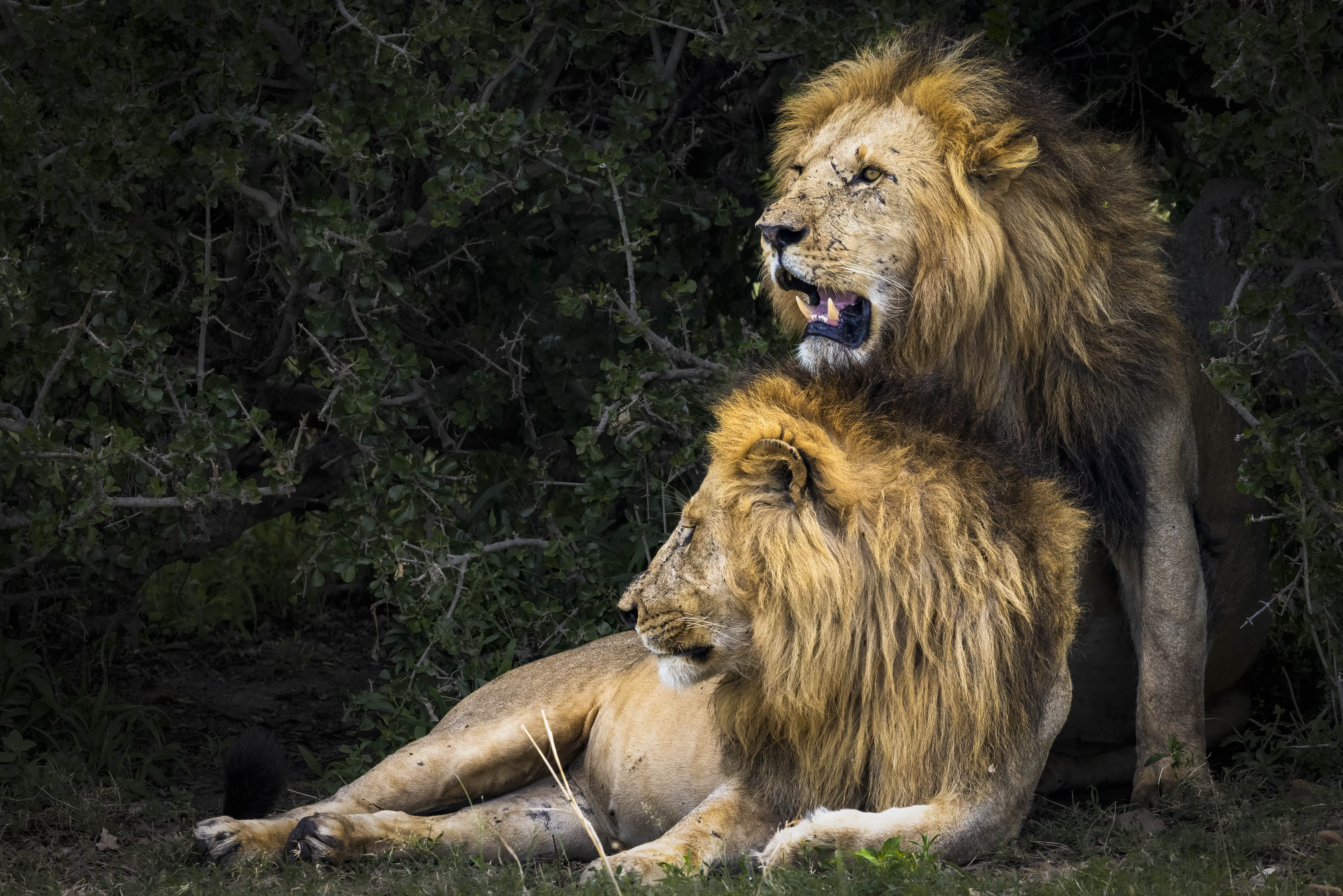 November 11, 2022-103933-2-Edit.jpg